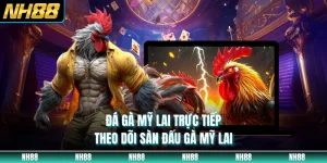 Đá Gà Mỹ Lai Trực Tiếp - Theo Dõi Sàn Đấu Gà Mỹ Lai
