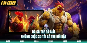 Đá Gà Tre Đá Giải - Những Cuộc So Tài Gà Tre Nổi Bật